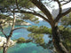 Calanque Sormiou Wall Decal Design 3