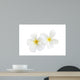 White Frangipani Wall Decal