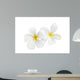 White Frangipani Wall Decal