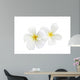 White Frangipani Wall Decal