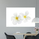 White Frangipani Wall Decal