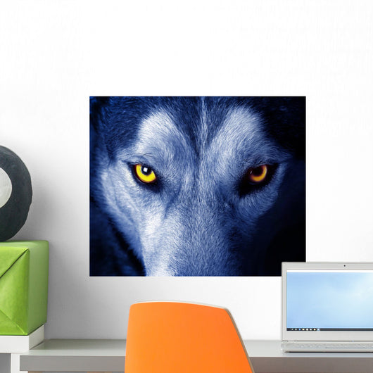 Beautiful Eyes of a Wild Wolf Wall Mural