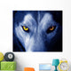 Beautiful Eyes of a Wild Wolf Wall Mural