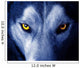 Beautiful Eyes of a Wild Wolf Wall Mural