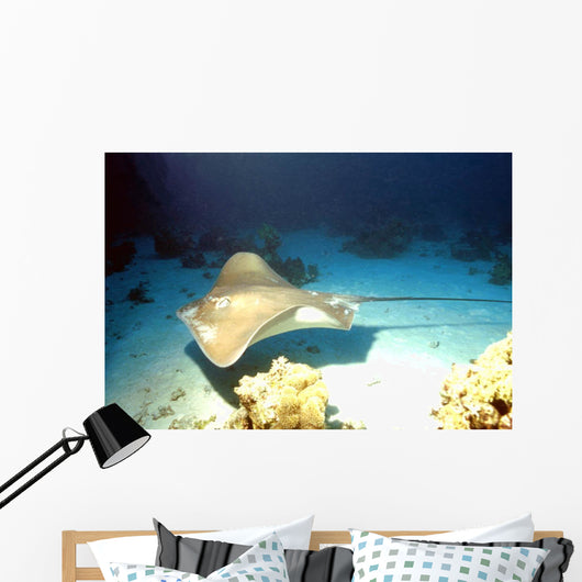 Stechrochen im Vorbeiflug Wall Decal