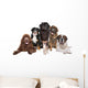 Chihuahua and Big Friends Wall Decal