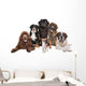 Chihuahua and Big Friends Wall Decal