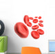 3D Blood Cells Wall Decal