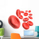 3D Blood Cells Wall Decal