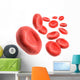 3D Blood Cells Wall Decal