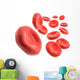 3D Blood Cells Wall Decal