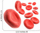 3D Blood Cells Wall Decal