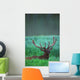 Male Elk With Felt On Antlers Wall Mural