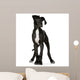 Young Great Dane Wall Decal