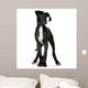 Young Great Dane Wall Decal