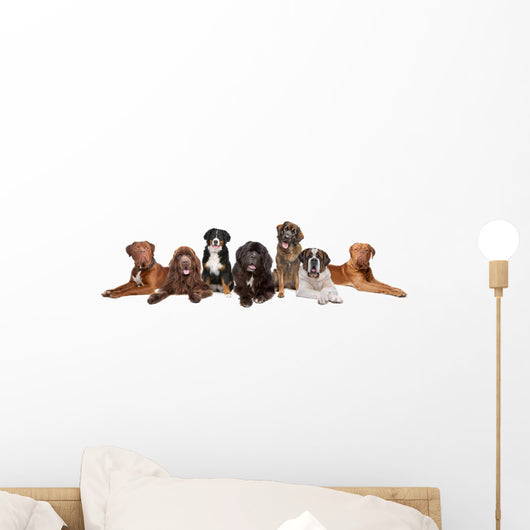Group Big Dogs Wall Decal
