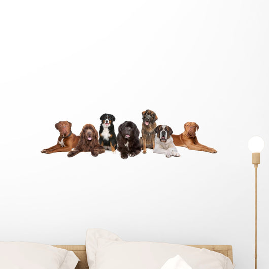 Group Big Dogs Wall Decal