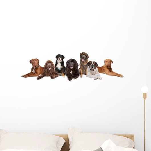 Group Big Dogs Wall Decal