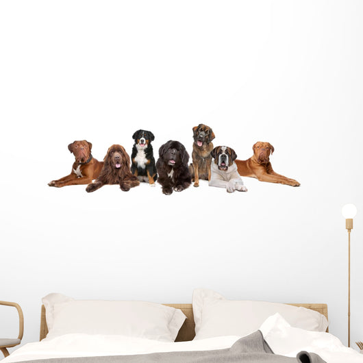 Group Big Dogs Wall Decal