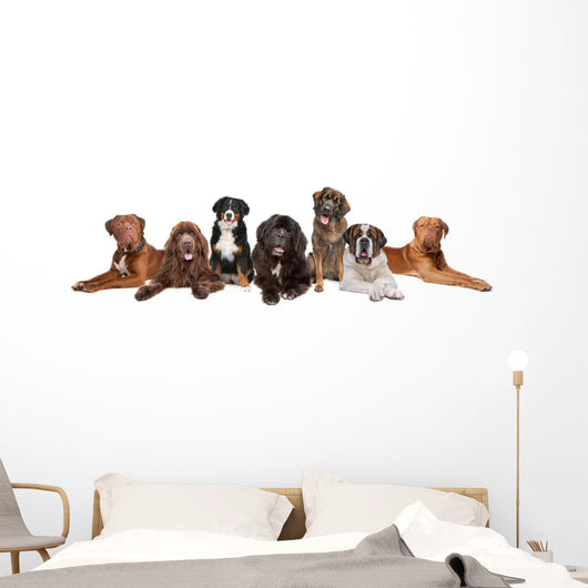 Group Big Dogs Wall Decal