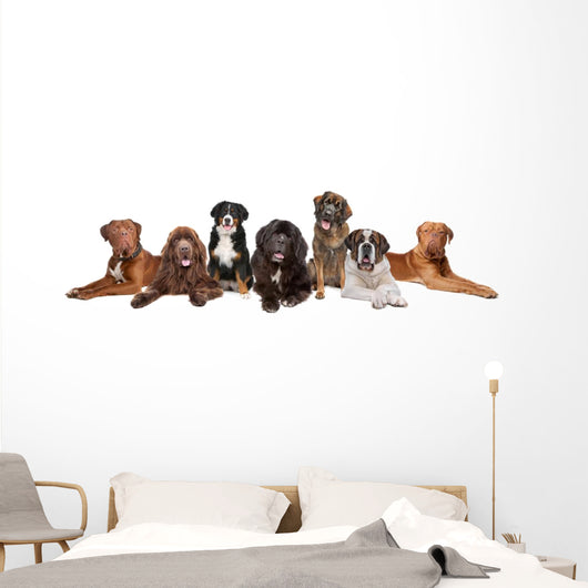 Group Big Dogs Wall Decal