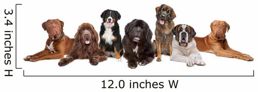 Group Big Dogs Wall Decal