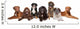 Group Big Dogs Wall Decal