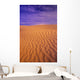 Ripples In The Sand Wall Mural