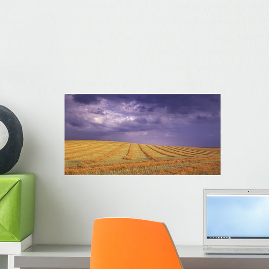 Harvested Field Wall Mural