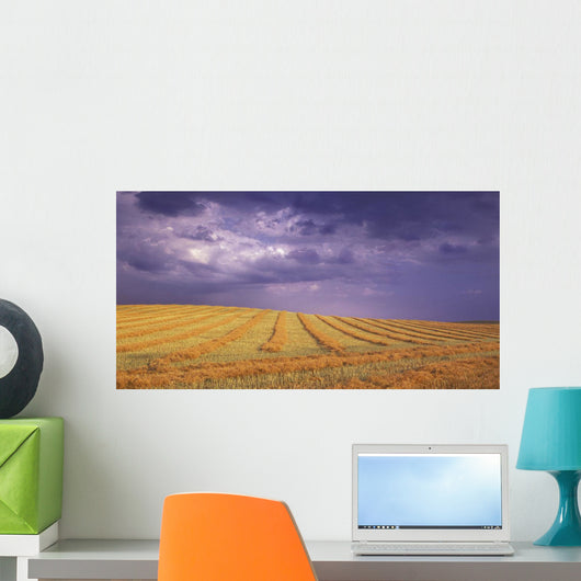 Harvested Field Wall Mural