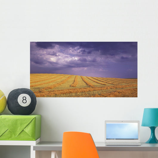 Harvested Field Wall Mural