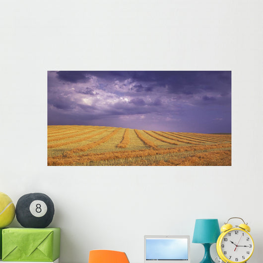 Harvested Field Wall Mural