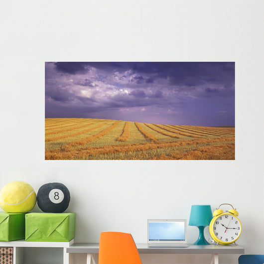 Harvested Field Wall Mural