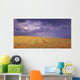 Harvested Field Wall Mural