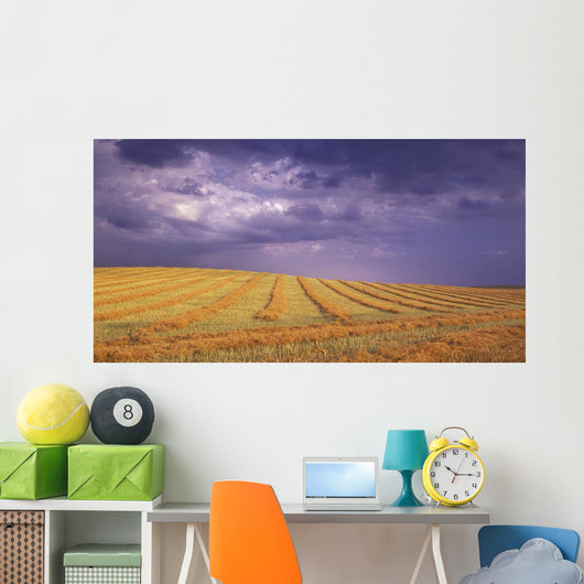 Harvested Field Wall Mural