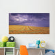 Harvested Field Wall Mural