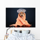 Bathroom Dog Wall Mural