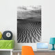 Ripples In The Sand Wall Mural