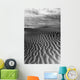 Ripples In The Sand Wall Mural