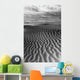 Ripples In The Sand Wall Mural