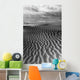 Ripples In The Sand Wall Mural