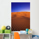 Ripples In The Sand Wall Mural