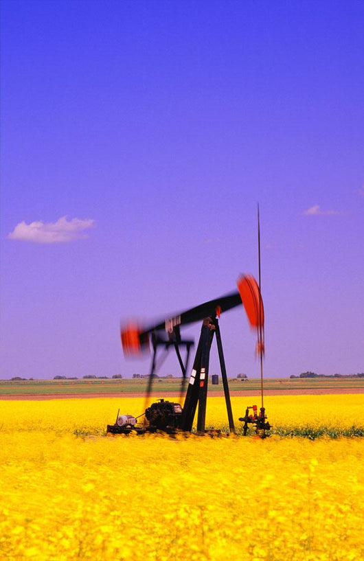 Oil Pumpjack In A Canola Field Wall Mural