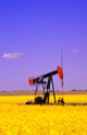 Oil Pumpjack In A Canola Field Wall Mural