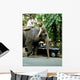 Elephant Sacre Et Taxi Wall Decal