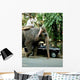Elephant Sacre Et Taxi Wall Decal