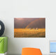 Rainbow Over Wheat Field Wall Mural