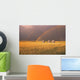Rainbow Over Wheat Field Wall Mural