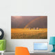 Rainbow Over Wheat Field Wall Mural