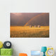 Rainbow Over Wheat Field Wall Mural